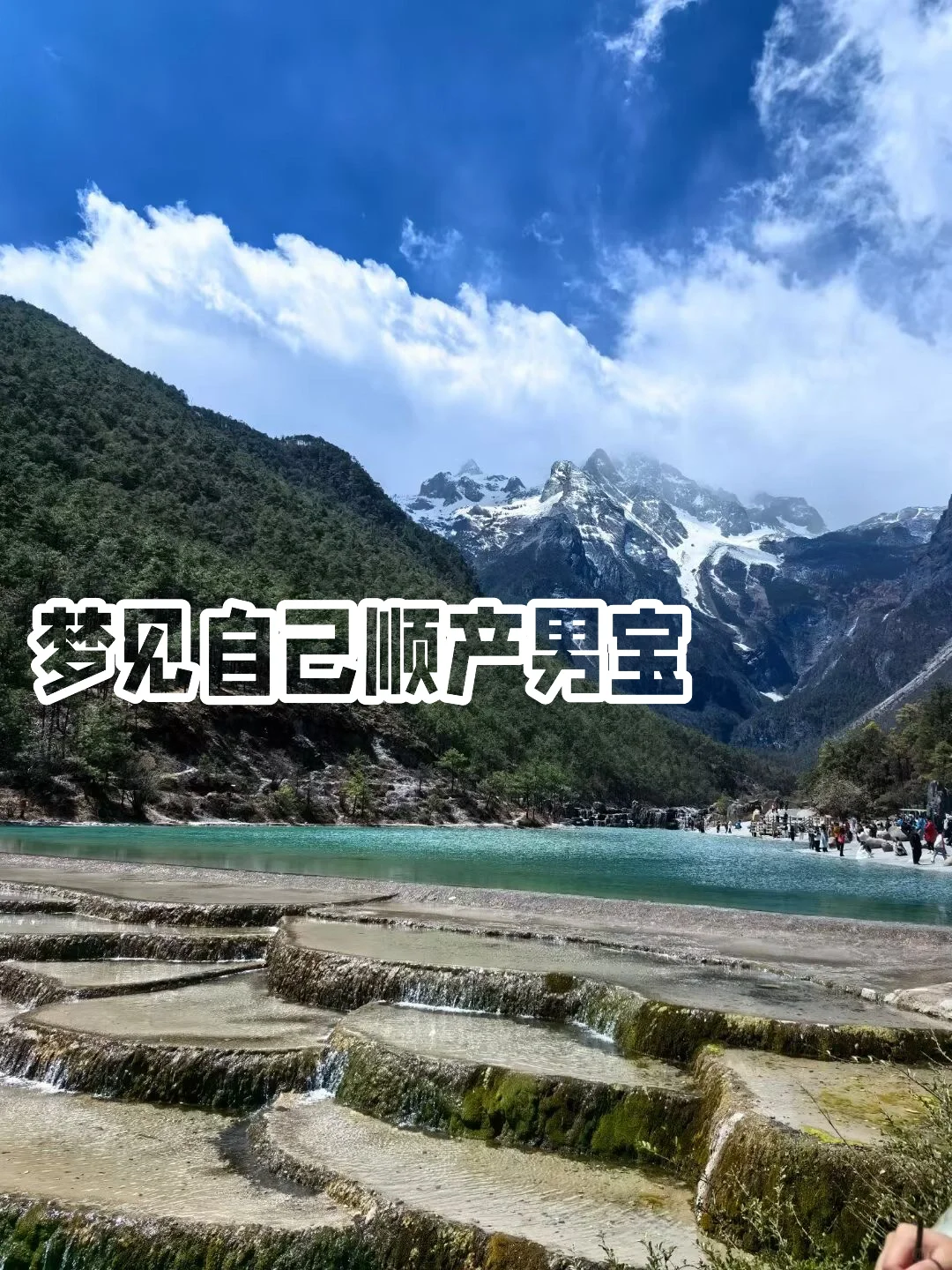 梦境中的温暖与期待：试管助孕的心路历程